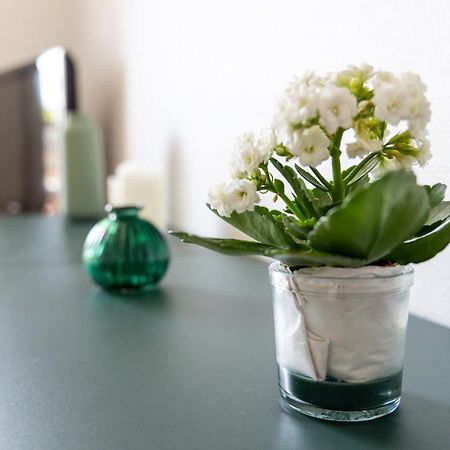 Sunshine - Appartement 2Pers - Terrasse Vue Mer - 디나르 외부 사진